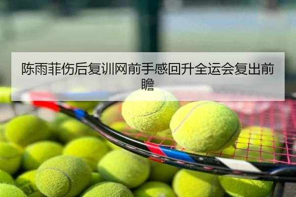 陈雨菲伤后复训网前手感回升全运会复出前瞻